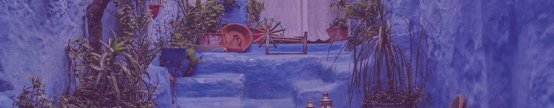 Gay Group Trips: Gay Oceania